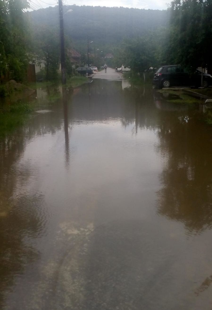 WhatsApp Image 2019-05-30 at 07.16.01