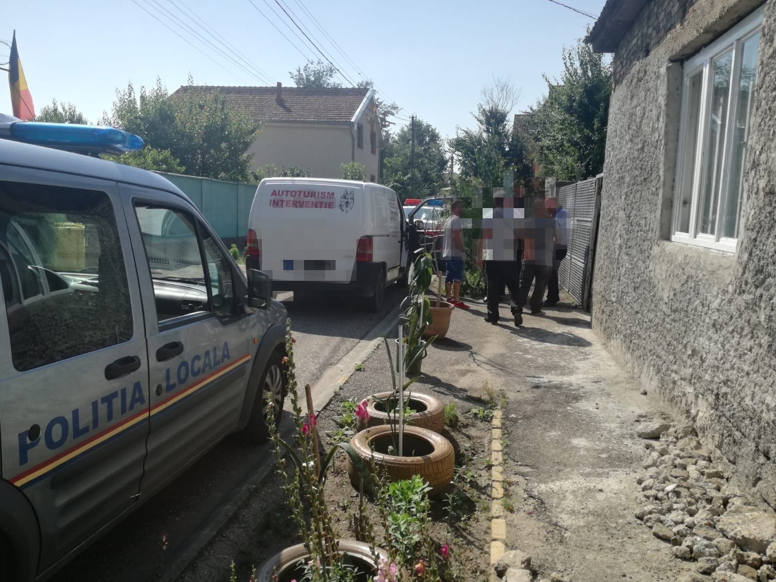 ARADCU 00 CAINI POLITIA LOCALA ARAD VI28IUN (2)