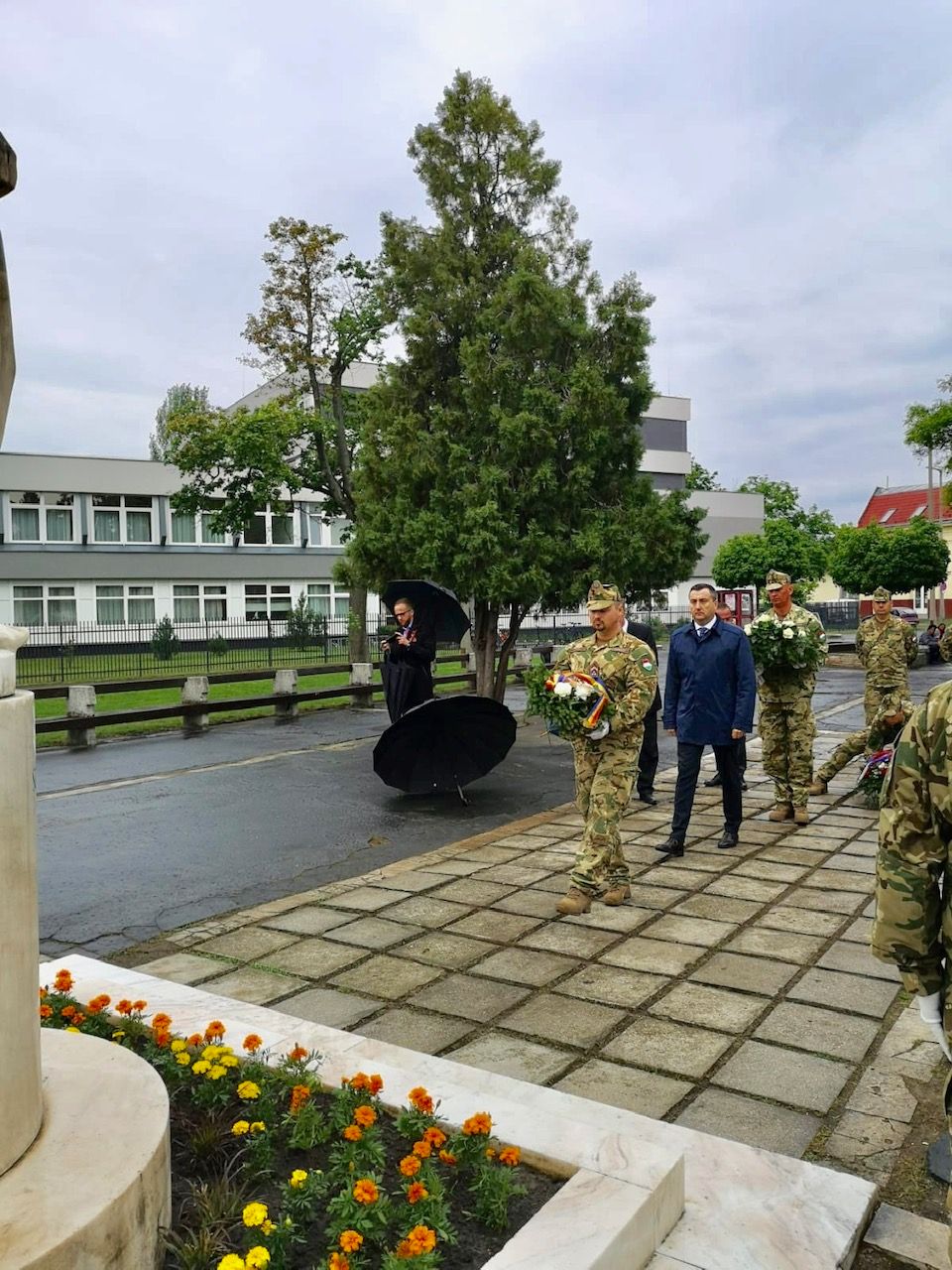 ARADCU 00 EROI ROMANI UNGARIA TRANDAFIR VI07IUN (3)