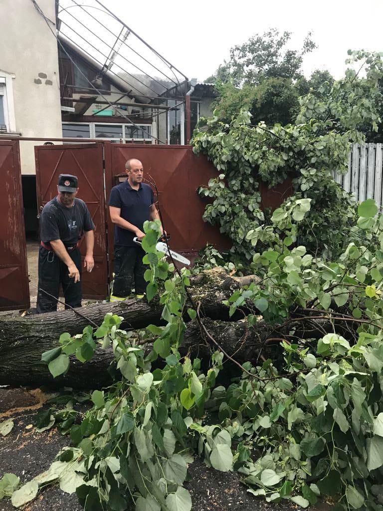 ARADCU 00 INUNDATII ISU ARAD VI28IUN (16)