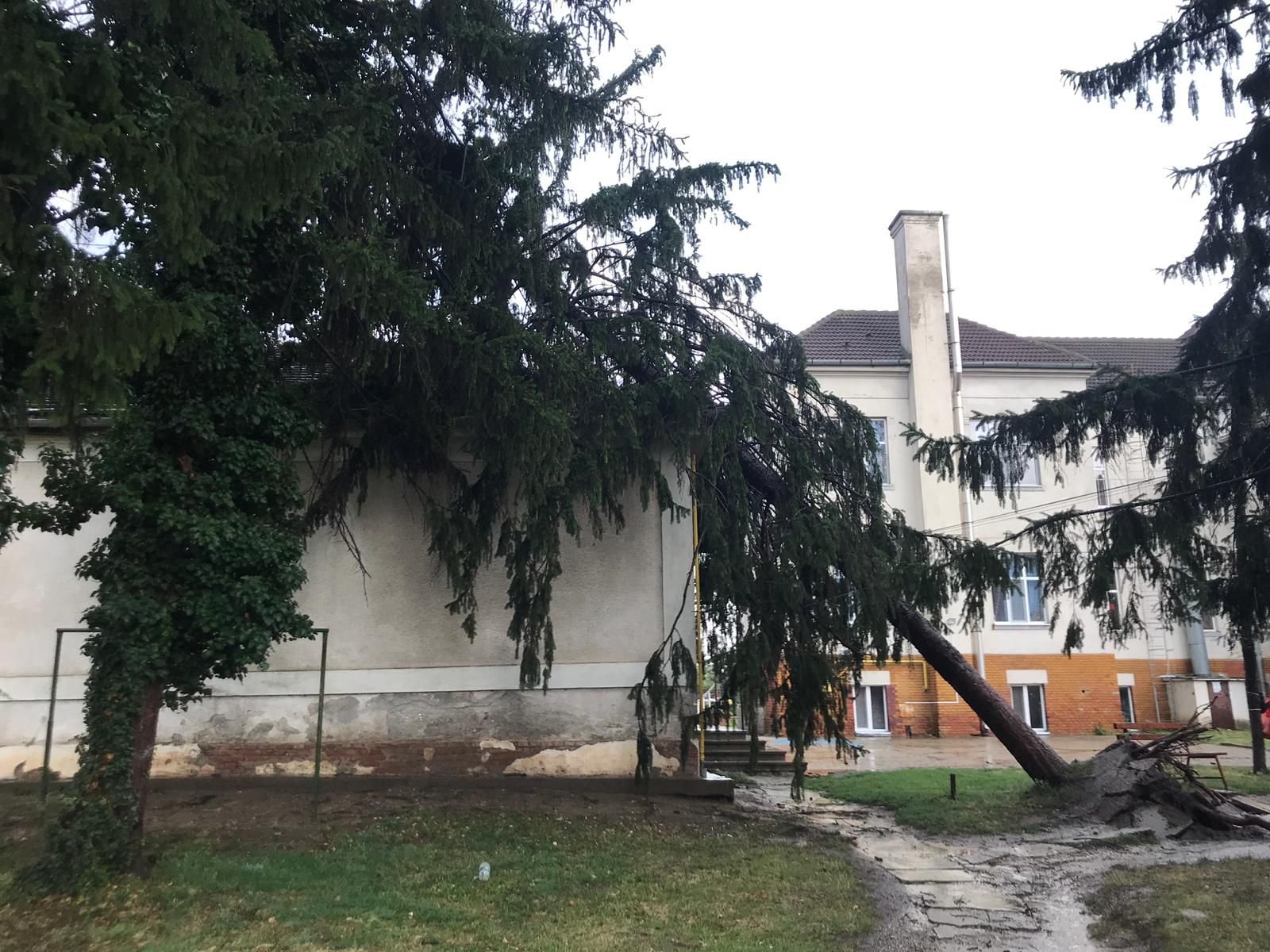 ARADCU 00 ISU ARAD DUM28IUL (6)