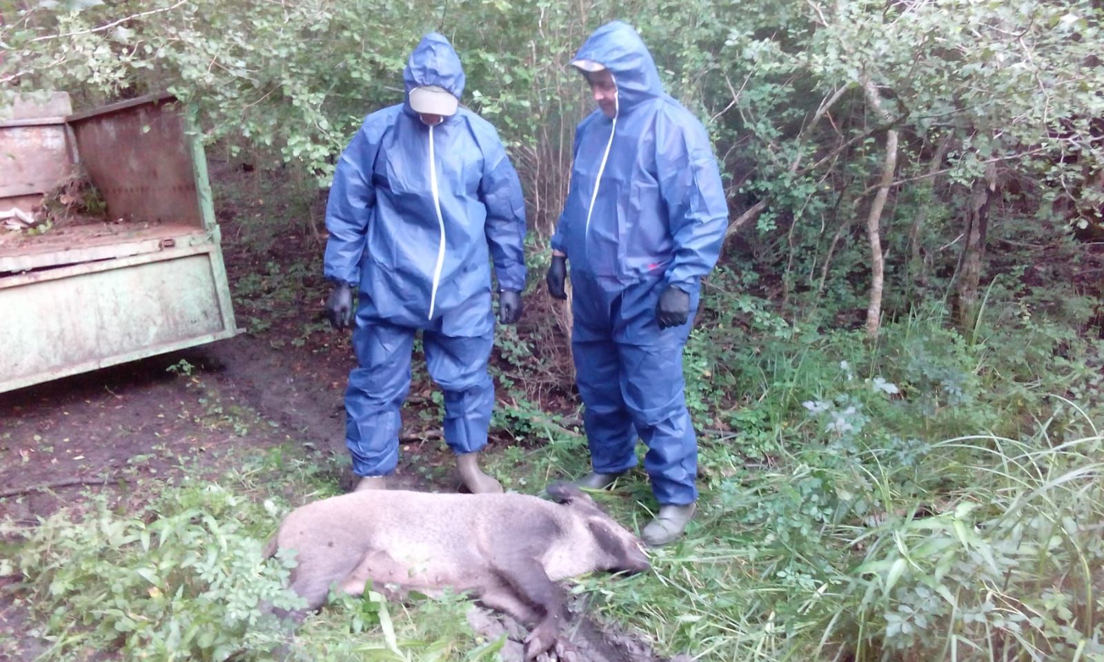 ARADCU 00 MISTRETI DIRECTIA SILVICA ARAD MI31IUL (2)