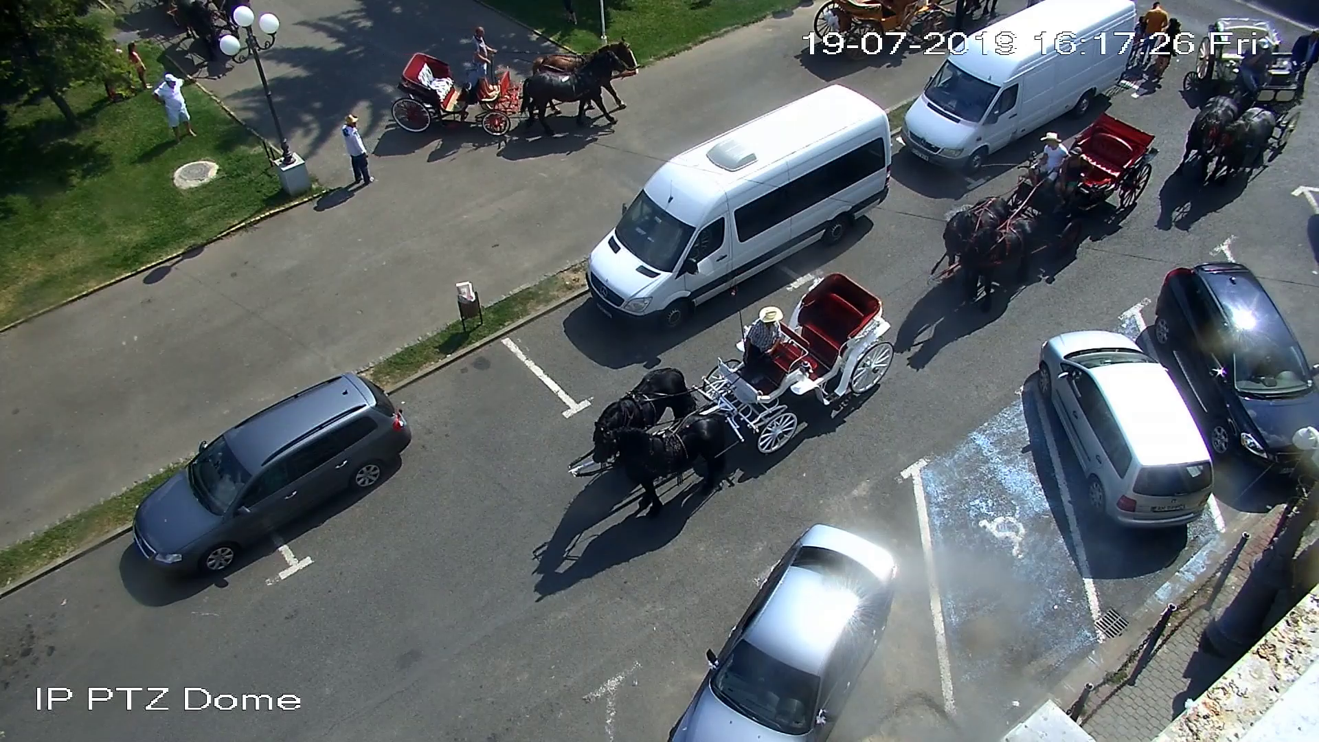 ARADCU 00 NUNTA TRASURI SA20IUL (13)