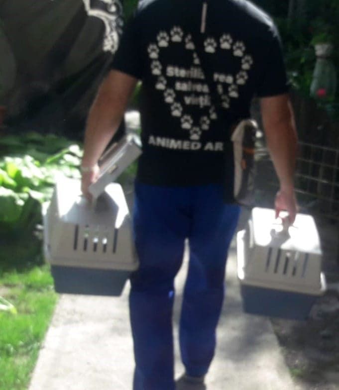 ARADCU 00 PISICI POLITIA LOCALA ARAD MA02IUL (1)