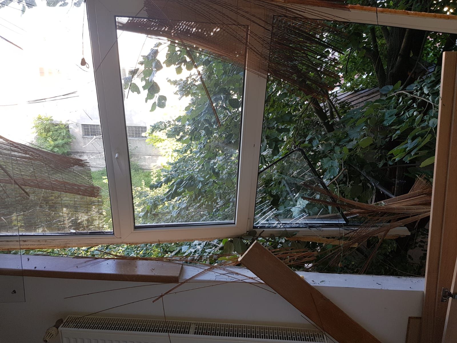 WhatsApp Image 2019-07-05 at 18.28.41