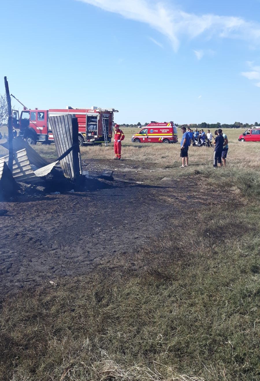 ARADCU 00 ANIMALE CAMP ISU ARAD VI09AUG (5)