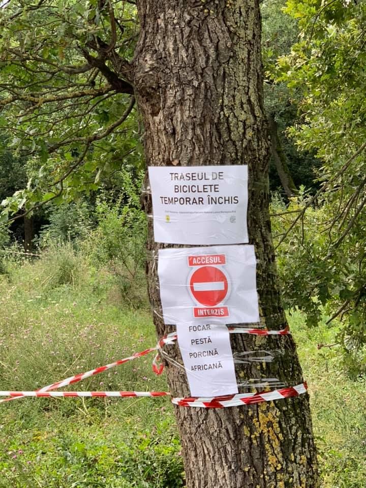 ARADCU 00 PNLM VI16AUG 3