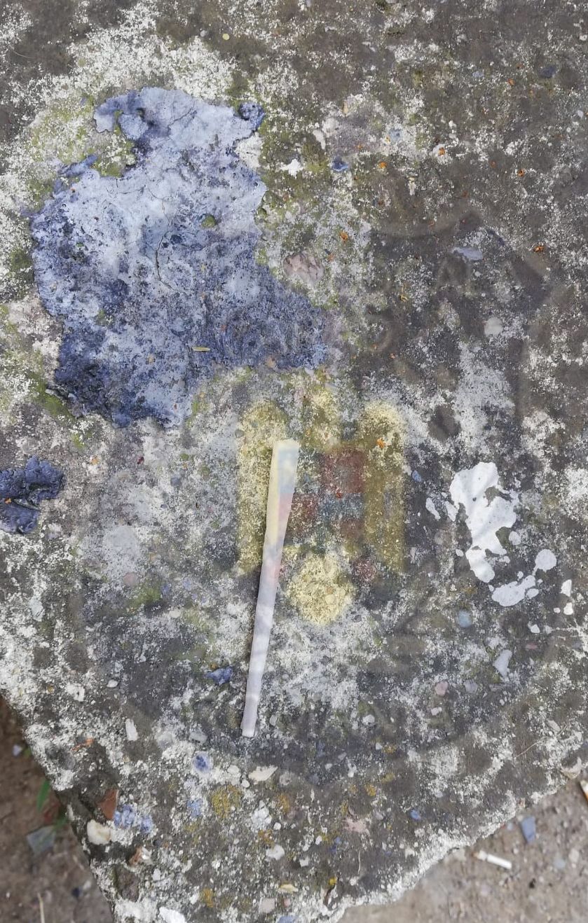 ARADCU POLITIA LOCALA ARAD VI23AUG (2)