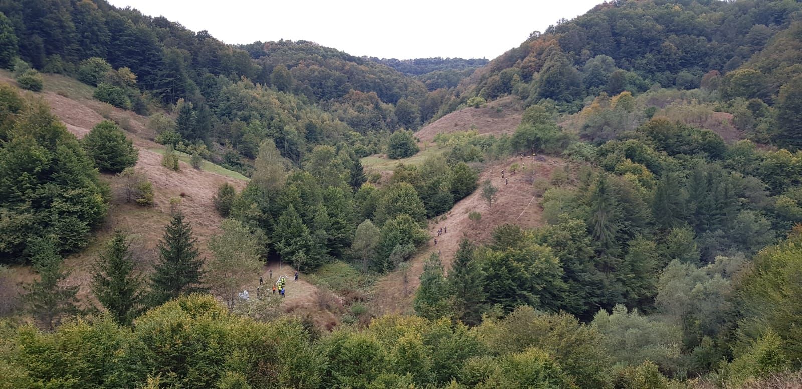 ARADCU 00 INCENDIU PADURE MUNTI CAUTARI ISU ARAD VI27SEPT (2)