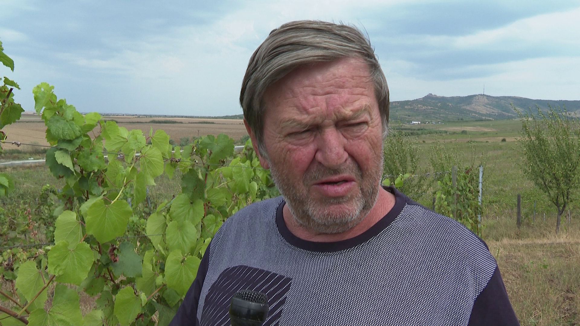 ARADCU 00 NICU COJOCARU STRUGURI MISTRETI MA10SEPT (1)