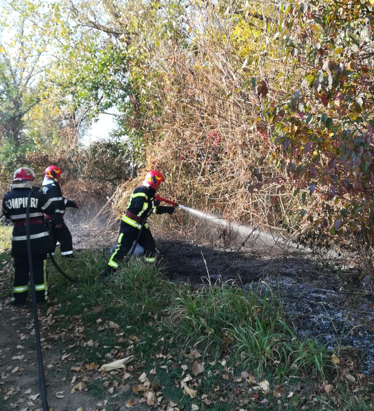 ARADCU 00 INCENDIU INCENDII VEGETATIE USCATA ISU ARAD LU21OCT (6)