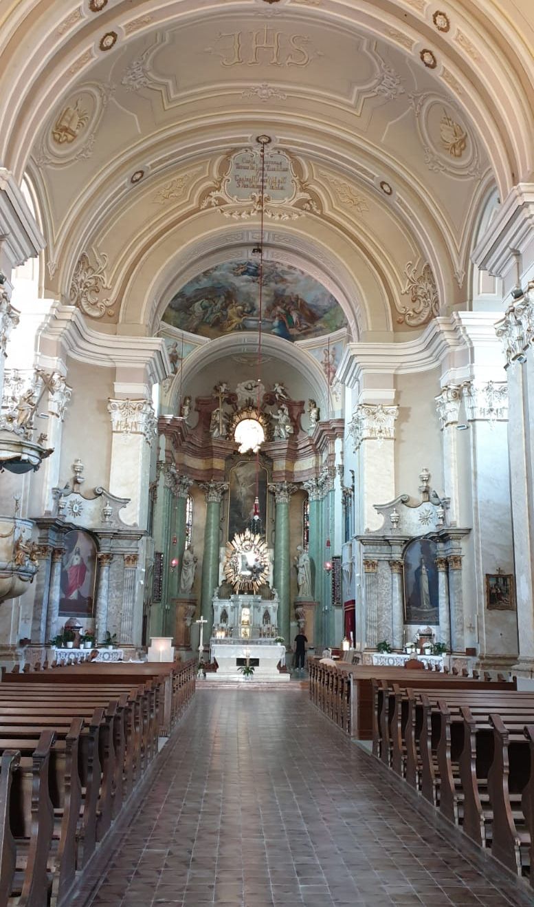 ARADCU 00 MARIA RADNA CURATENIE FOTO VIDEO SA26OCT (81)