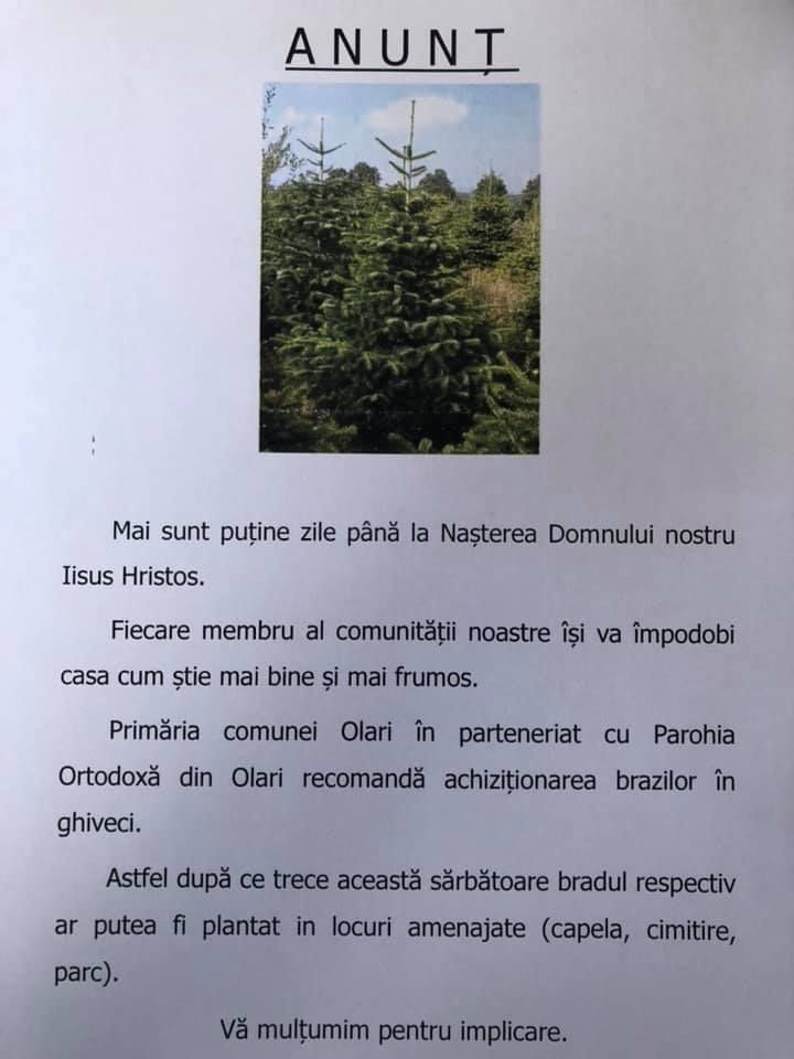 ARADCU 00 PRIMARIA OLARI JOI17OCT