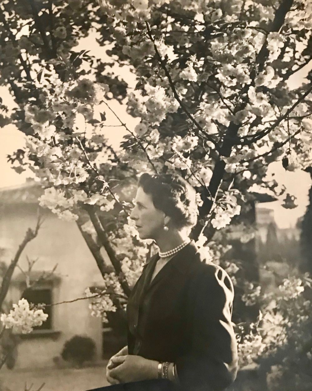 Regina-Elena-a-Romaniei-anii-1950-2