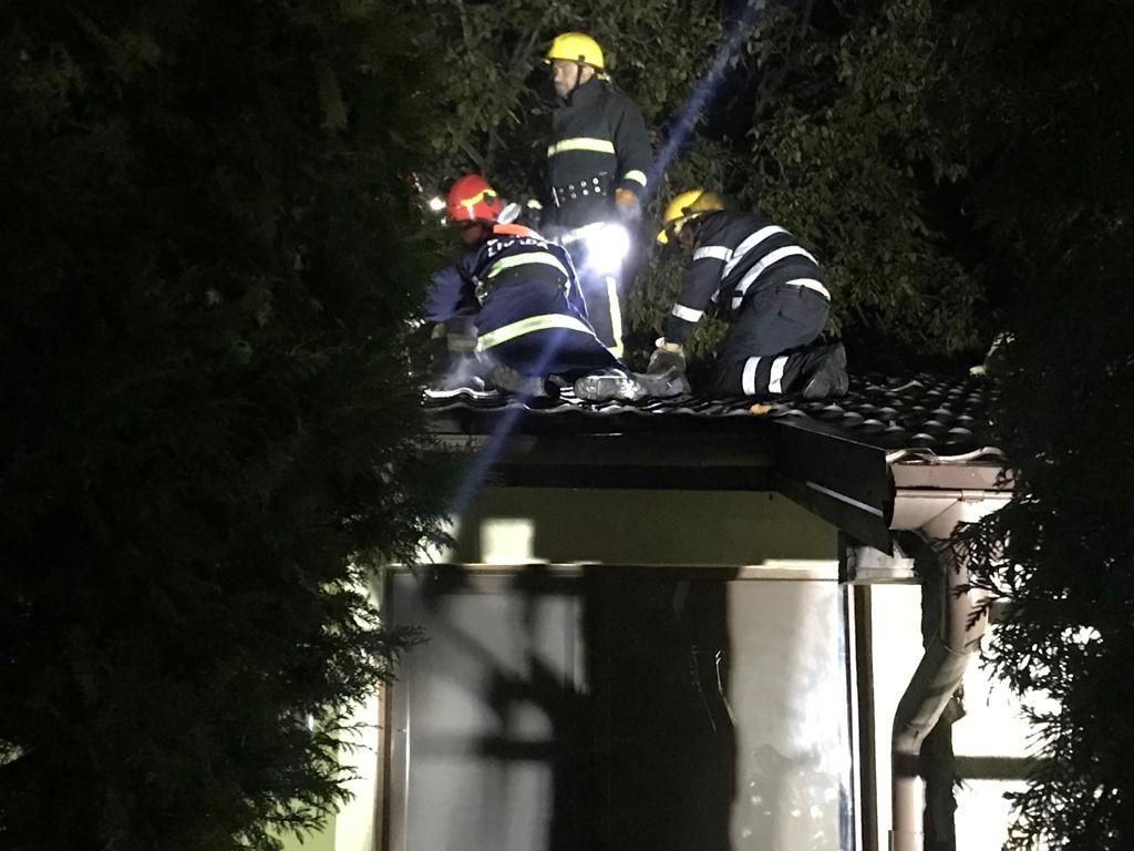 WhatsApp Image 2019-10-31 at 10.27.37 (1)