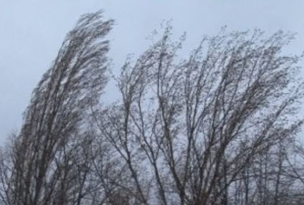 Arad: Un nou Cod Galben de vânt puternic, pentru județul Arad