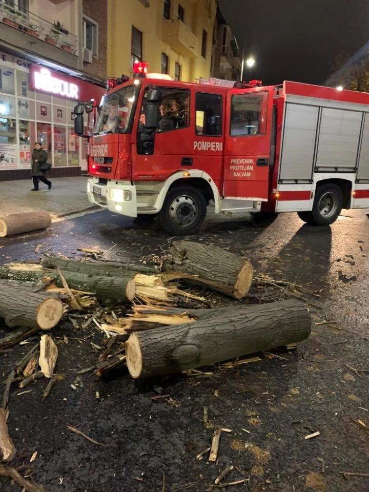 ARADCU 00 COPAC MASINA CALIN BIBART DUM10NOV