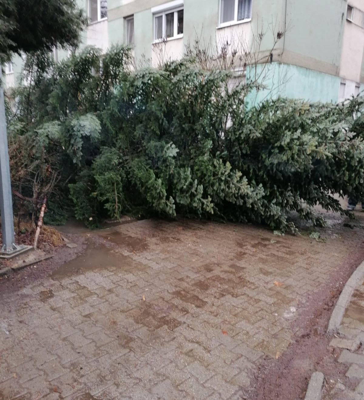 ARADCU 00 COPAC MASINA ISU ARAD MI05FEB 2