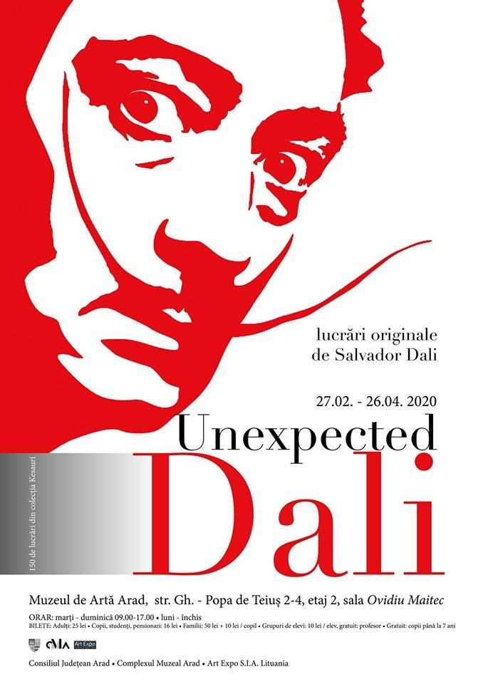 ARADCU 00 DALI MUZEU MA18FEB