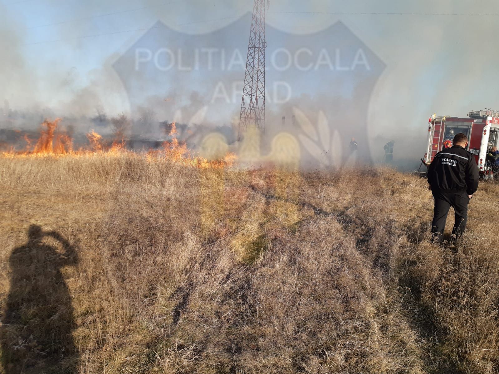 ARADCU 00 POLITIA LOCALA PRIMARIA MUNICIPIULUI ARAD SA08FEB