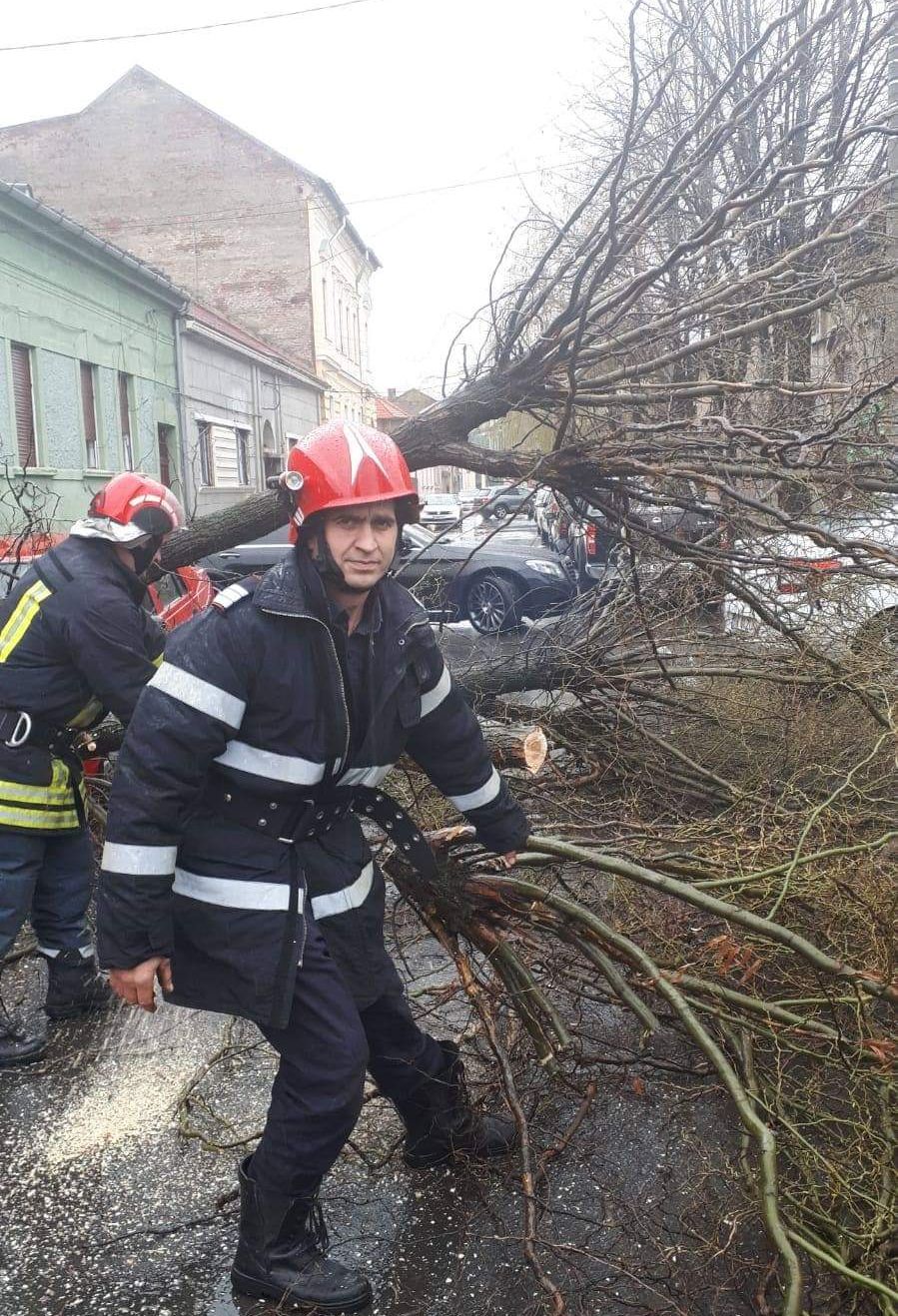 ARADCU 00 COPAC ISU ARAD MI04MART 4
