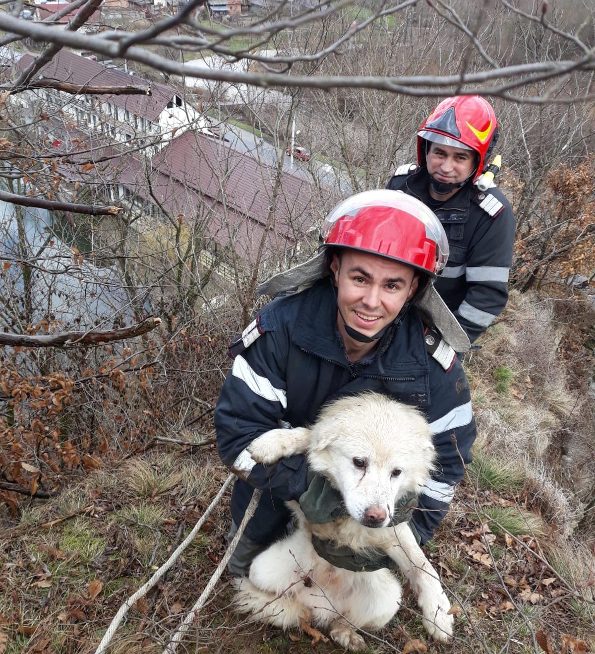 ARADCU 00 ISU ARAD LU02MART (3)