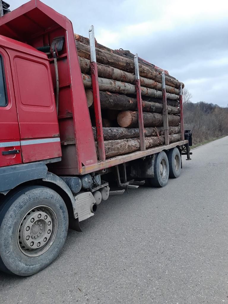 ARADCU 00 JANDARMI JANDARMERIA ARAD JOI19MART (1)