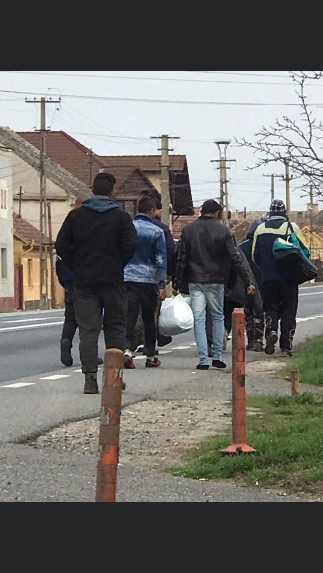 ARADCU 00 NADLAC VI27MART 17