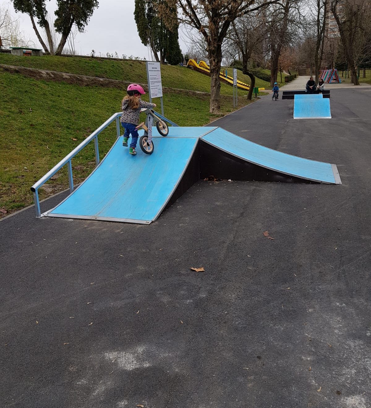 ARADCU 00 PARC TOROK ZSOLT PRIMARIA MUNICIPIULUI ARAD JOI12MART (1)