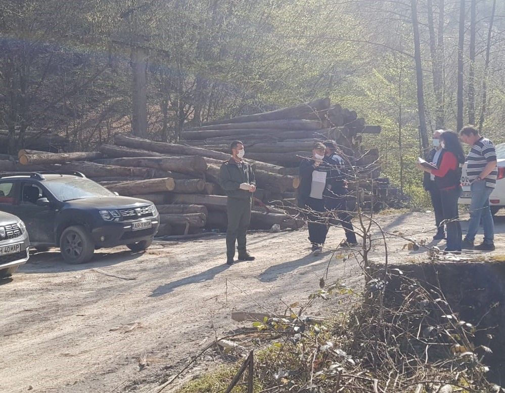 ARADCU 00 LEMNE GARDA DE MEDIU ARAD JOI09APR (1)