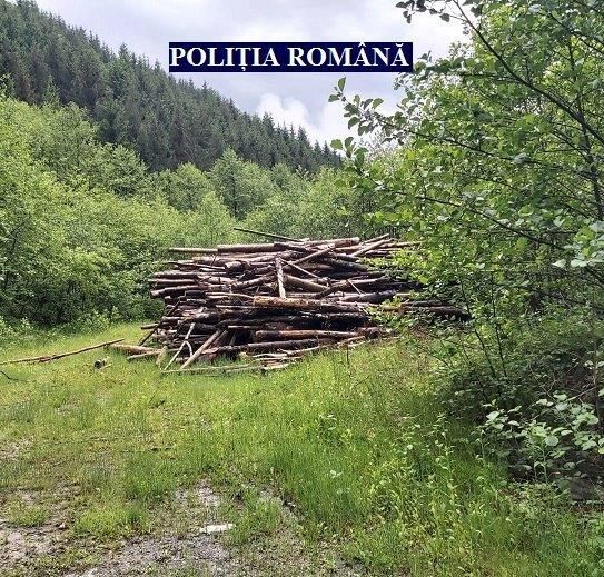 ARADCU 00 LEMNE POLITIA ARAD SA30MAI 2