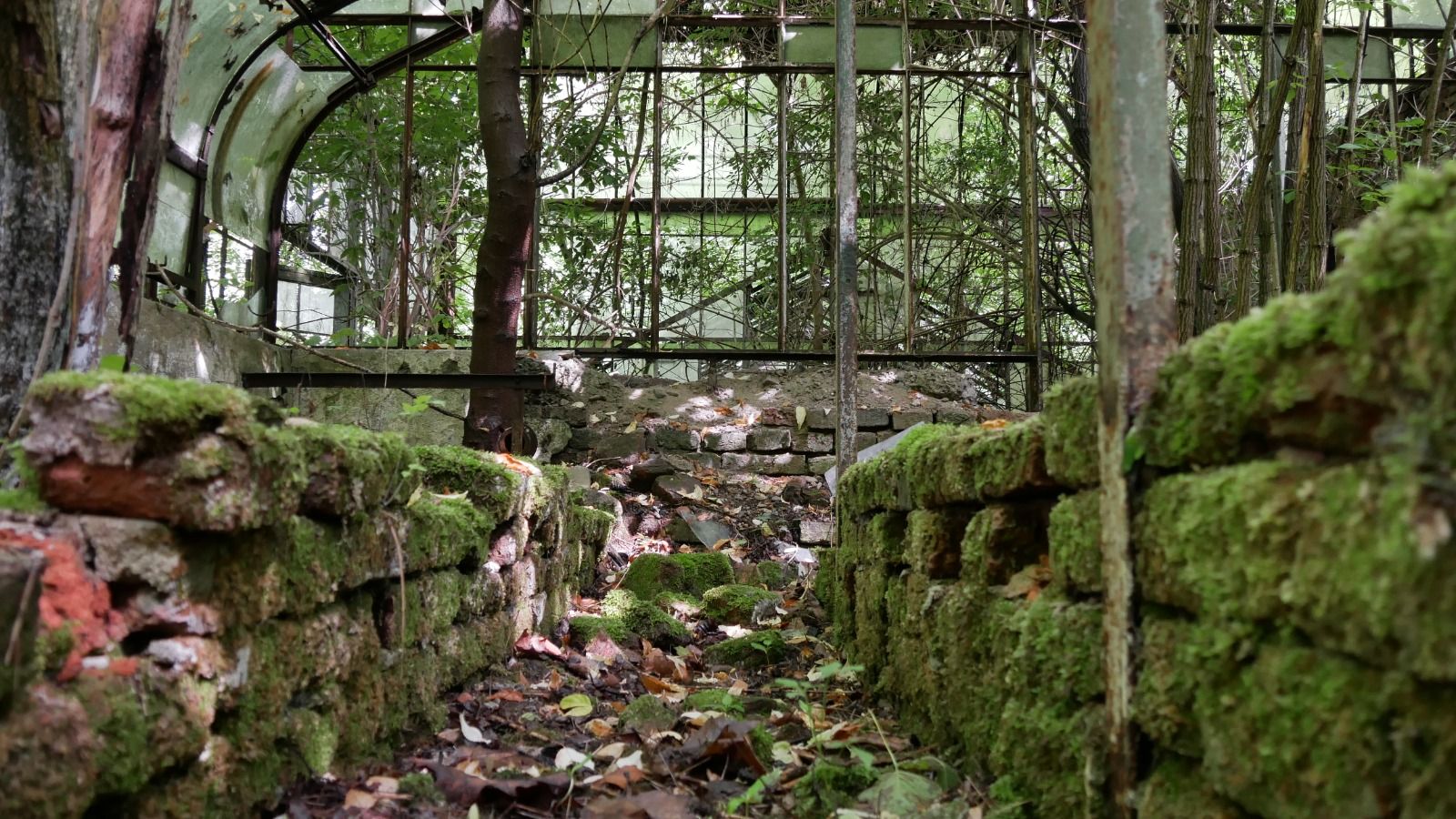 ARADCU 00 CASTEL BULCI PRIMARIA MUNICIPIULUI ARAD MI17IUN (4)