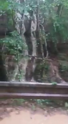 ARADCU 00 INUNDATII IUSTIN CIONCA VI26IUN (5)