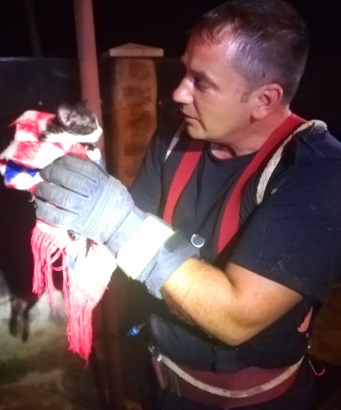 ARADCU 00 ISU ARAD MA16IUN (4)