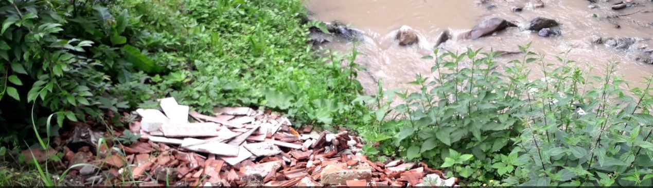 ARADCU 00 MONEASA GARDA MEDIU VI12IUN