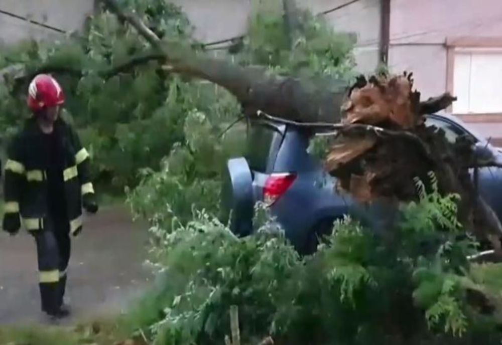Furtuna a făcut pagube în Arad