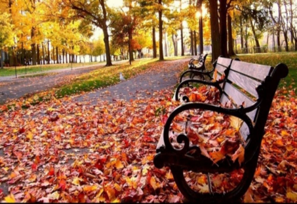 Se schimbă vremea în România. Temperaturile vor fi în scădere