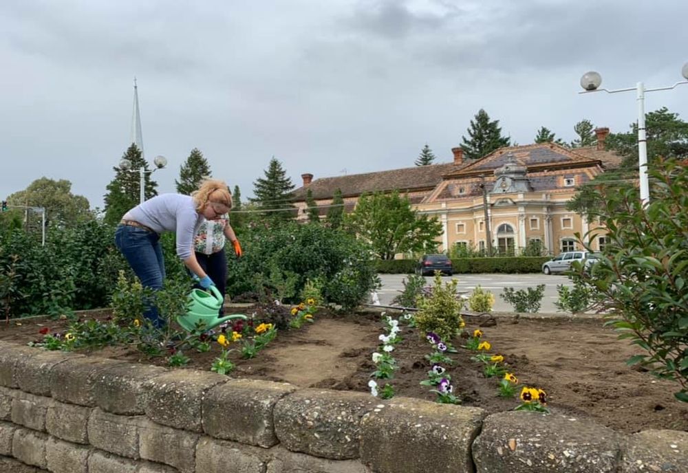 Primarul i-a scos pe angajați la spații verzi