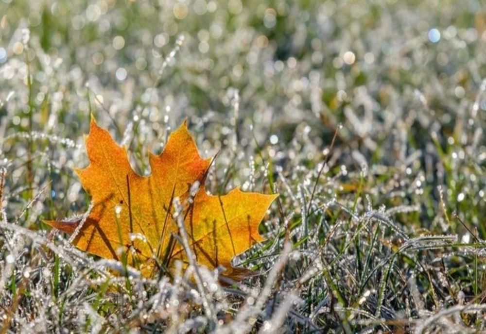 Vremea se încălzește ușor la început de săptămână