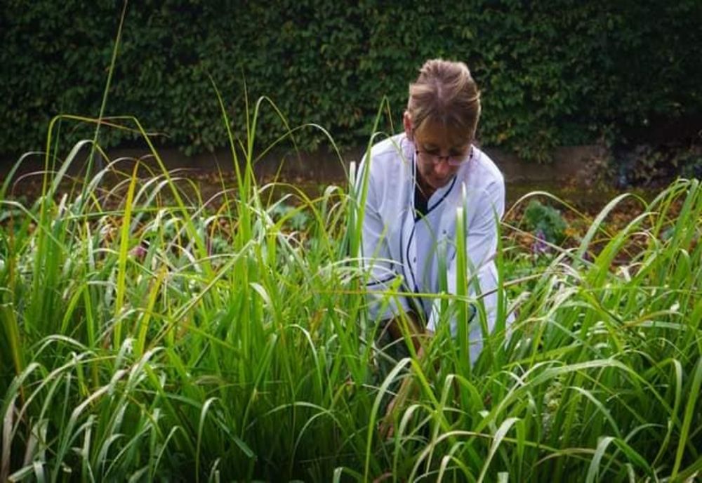Grădina cu mirodenii de la Păuliș. Interviu cu Doina Ciuban  despre plante aromate și nu numai