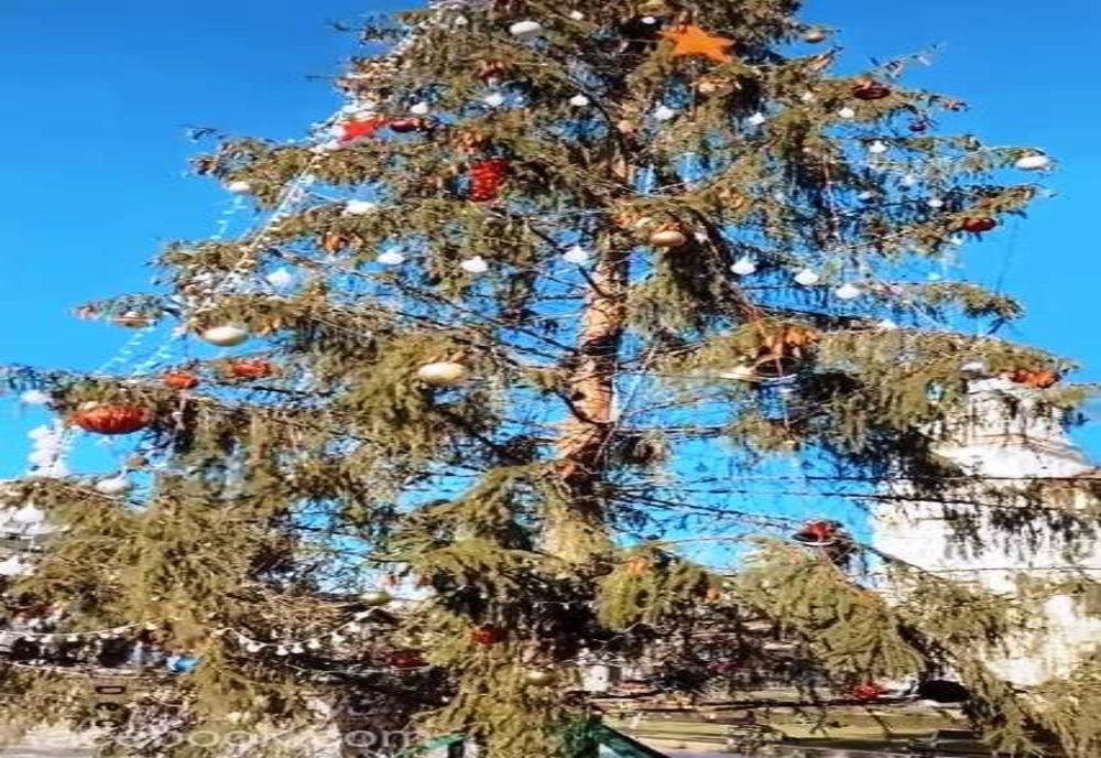 Bradul de Crăciun din Arad, țina ironiilor din cauza halului în care arată