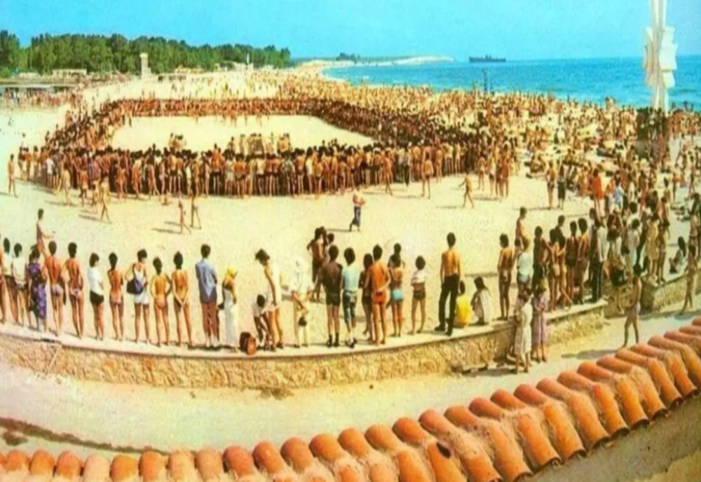 Culisele Statului Paralel: Cum a fost prădat patrimoniul Costineștiului de către foști șefi al BTT