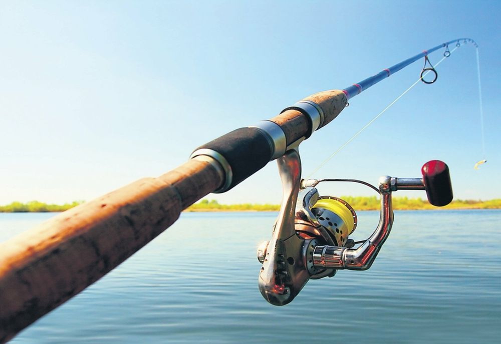 Băț de pescuit, recuperat de polițiști