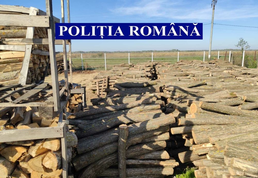 Acțiune de amploare a polițiștilor, în Lipova