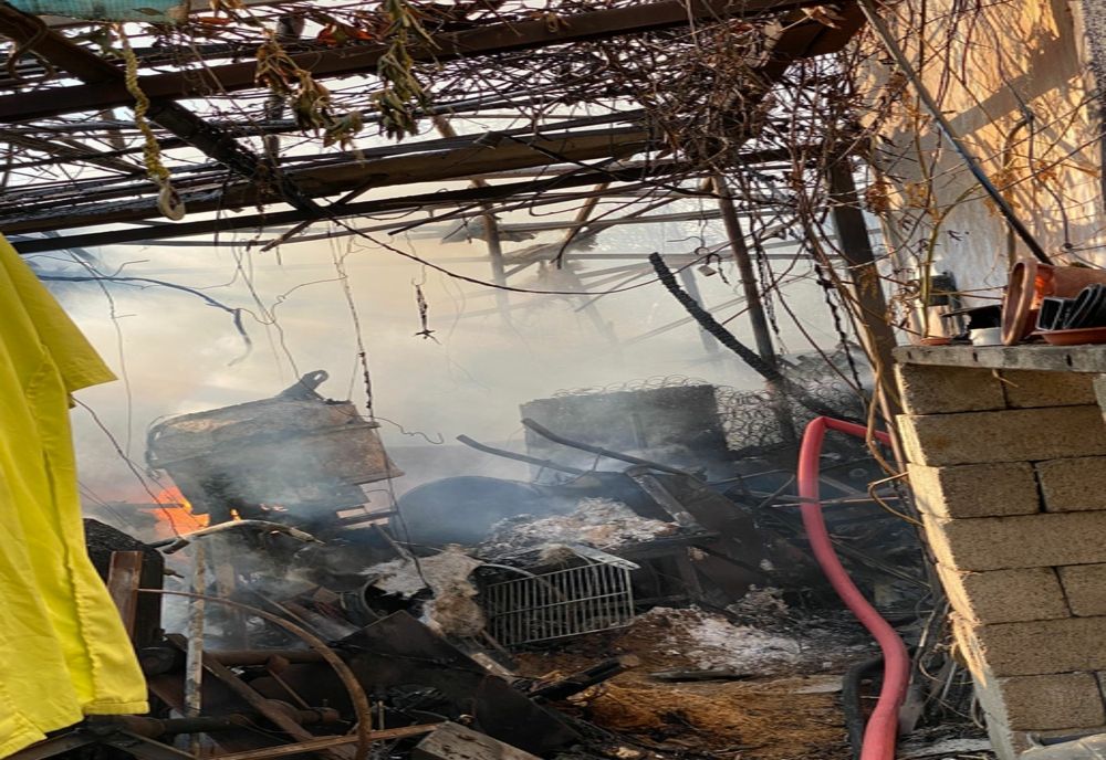 Un incendiu pornit de la o afumătoare a pus în pericol mai multe gospodării. VIDEO