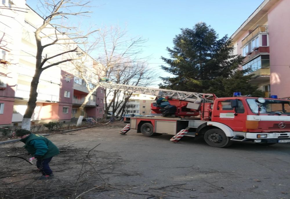 Activități de toaletare a arborilor amplasați pe Strada Andrei Mureșanu