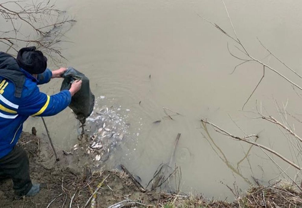 Trei bărbați prinși de jandarmi la braconaj piscicol pe râul Mureș