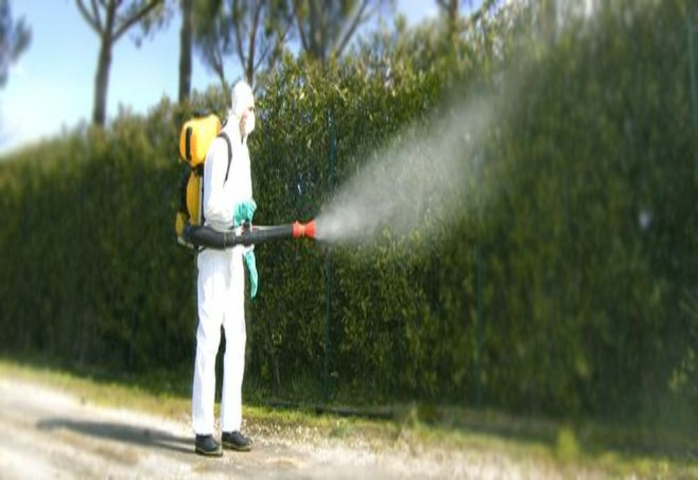 Viceprimarul Ilie Cheșa: "Am început dezinsecția în municipiul Arad!“