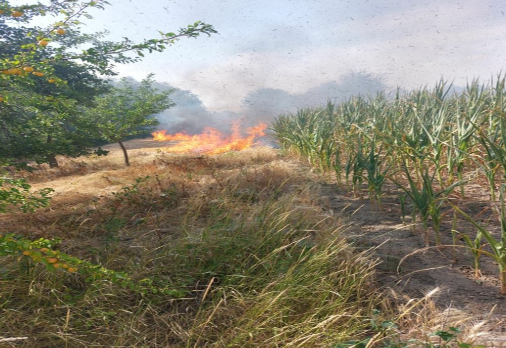 Peste 26 de hectare de vegetație uscată și culturi agricole au ars în doar câteva ore în județul Arad