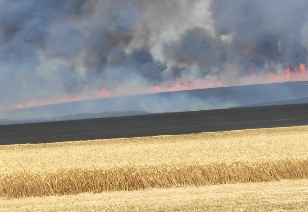 Arad: Incendiul care a mistuit 200 hectare de culturi, izbucnit de la scântei produse la un utilaj agricol